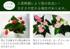 観葉植物 アンスリウム アンスリューム 赤 レッド 鉢植え おしゃれ インテリア 室内
