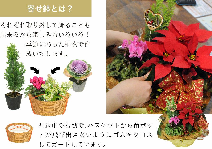 クリスマス寄せ鉢ミックス