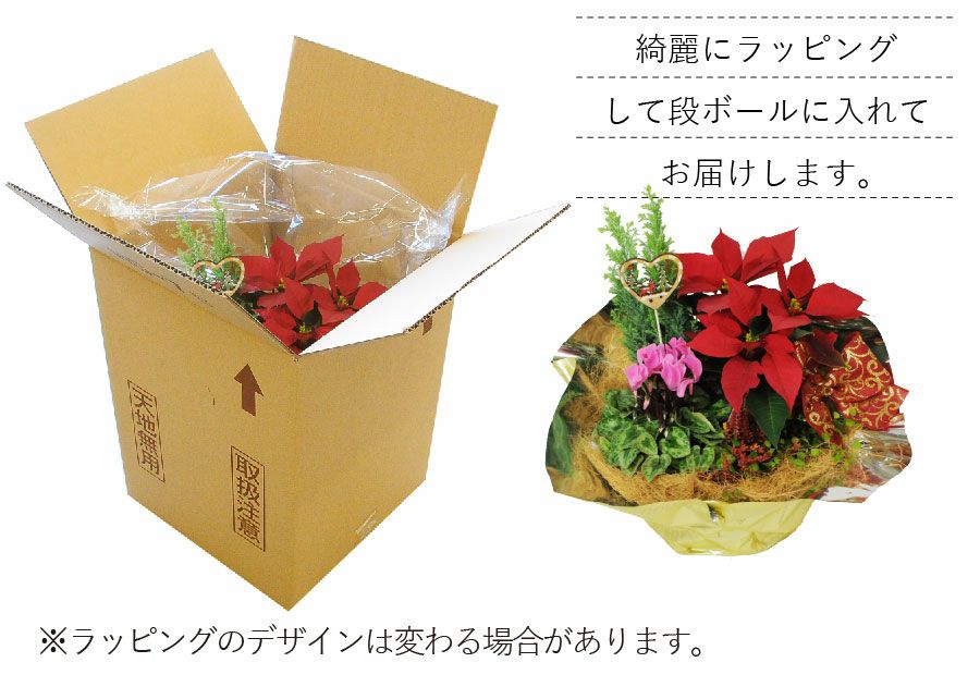 クリスマス寄せ鉢ミックス