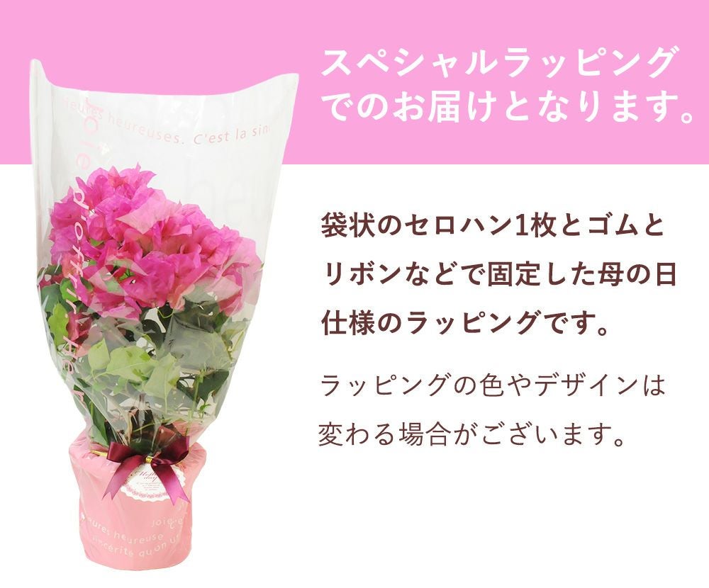 色味に幅があります