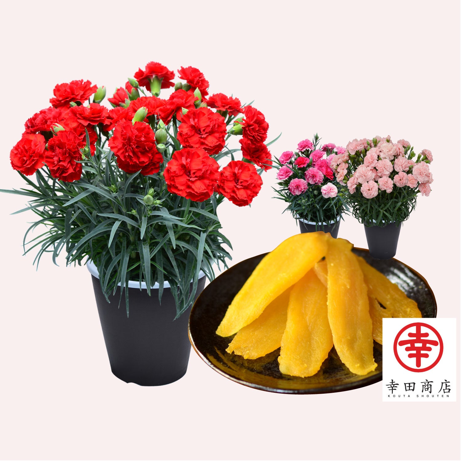 カーネーション5号鉢とスイーツセット