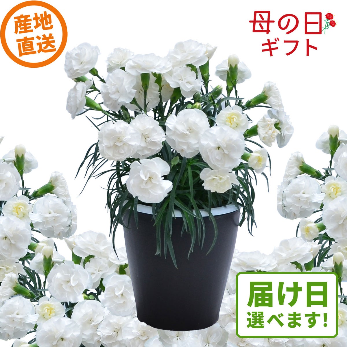 大内園芸