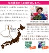 サイズ