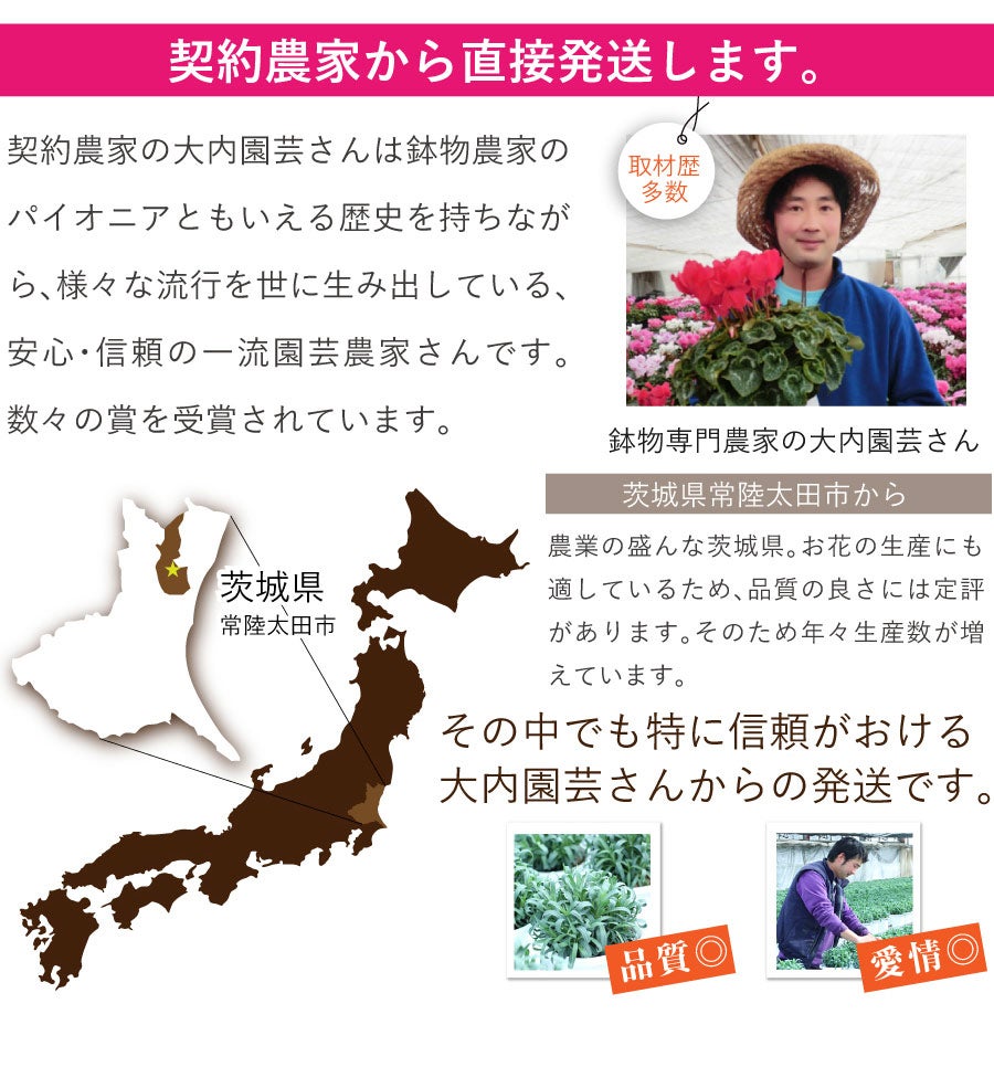 サイズ