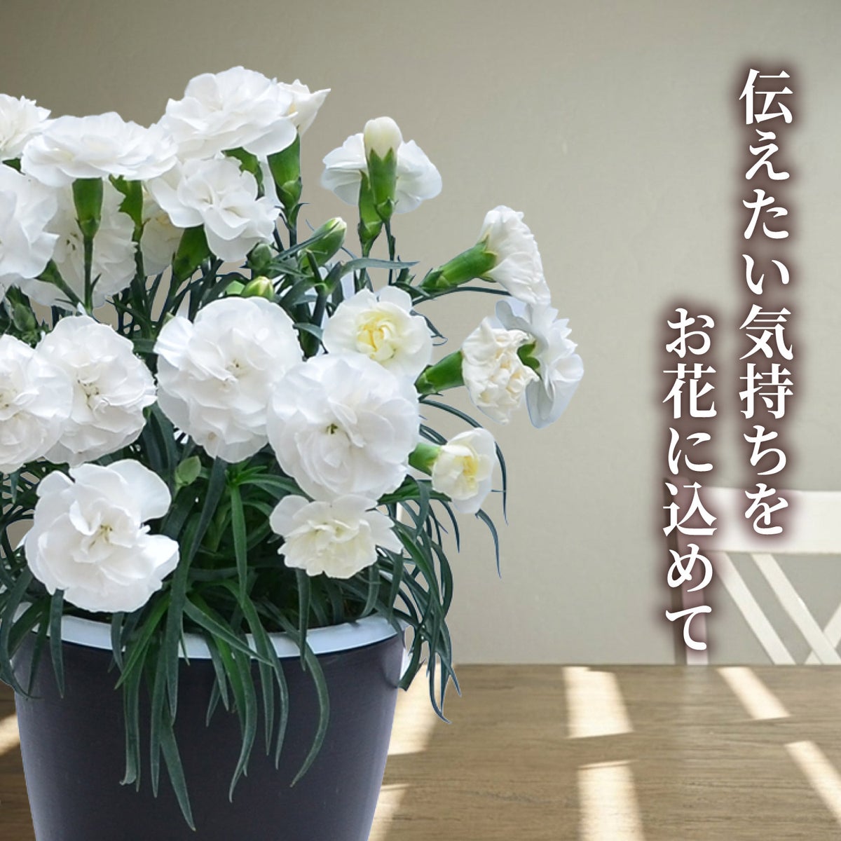 伝えたい気持ち