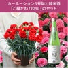 日本酒『ご縁だね』とカーネーションの鉢セット