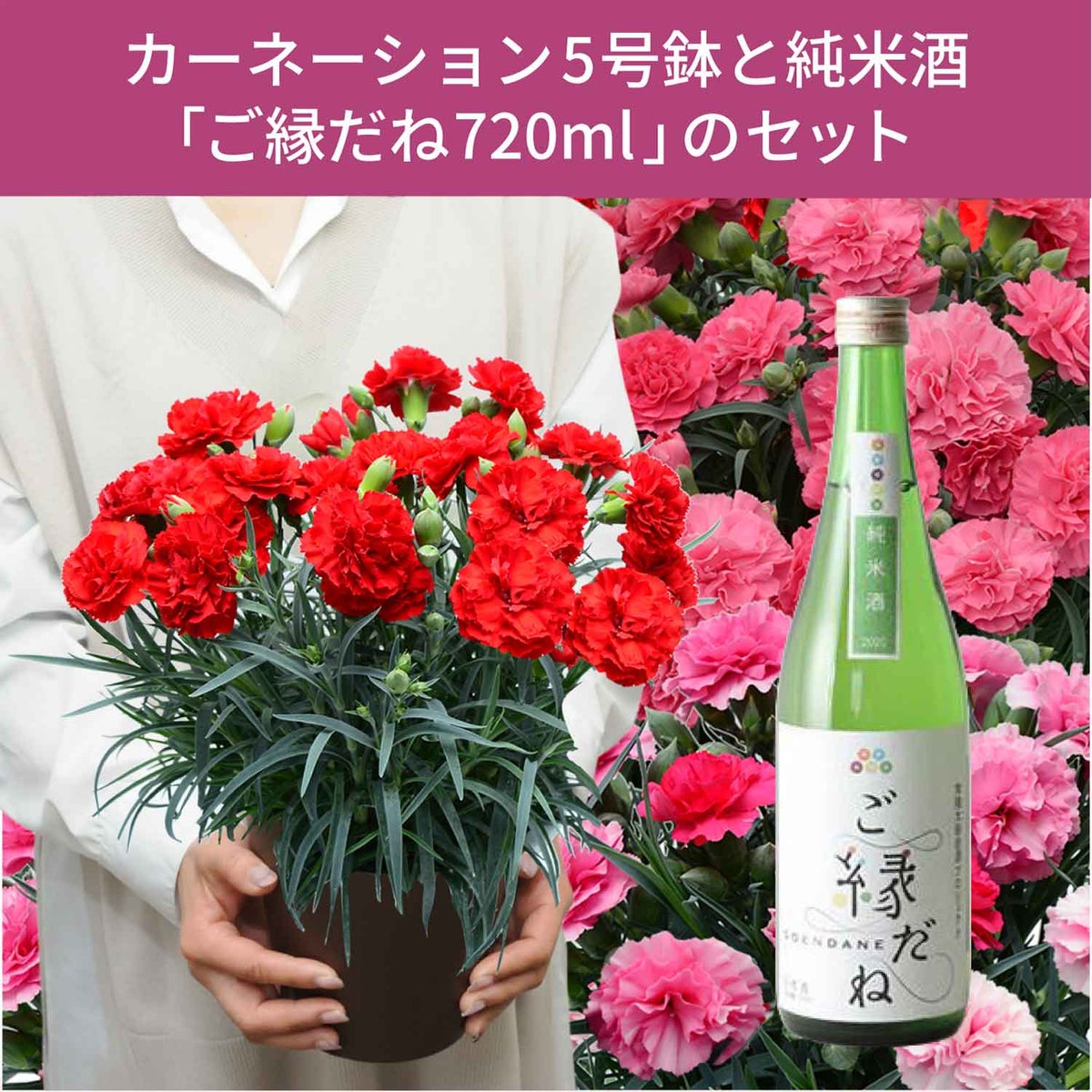日本酒『ご縁だね』とカーネーションの鉢セット