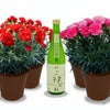 カーネーションと日本酒ご縁だね