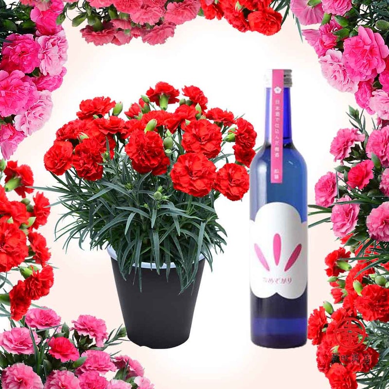 梅酒とカーネーション