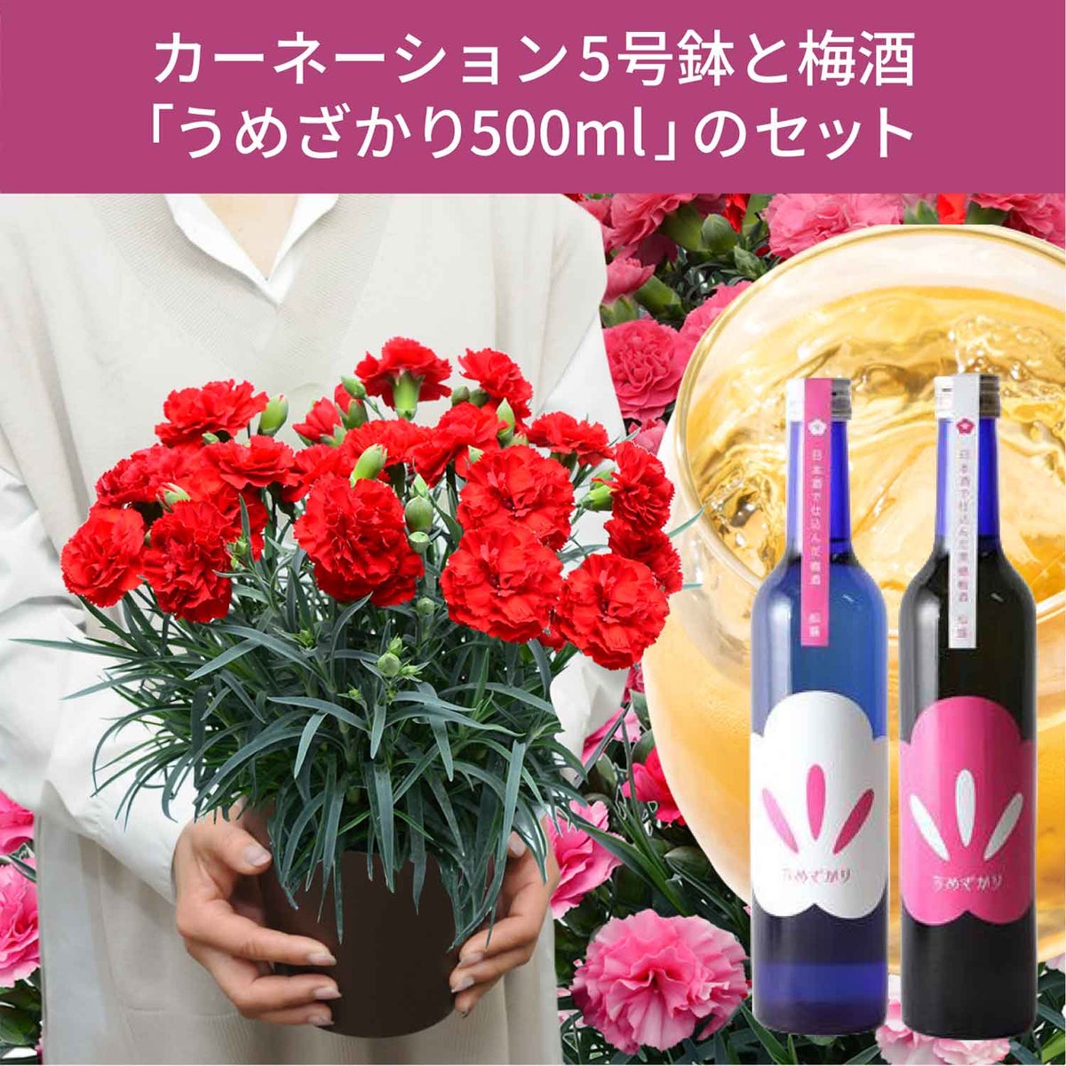 梅酒＆カーネーション鉢ギフト