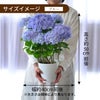 母の日 アジサイ てまりてまり