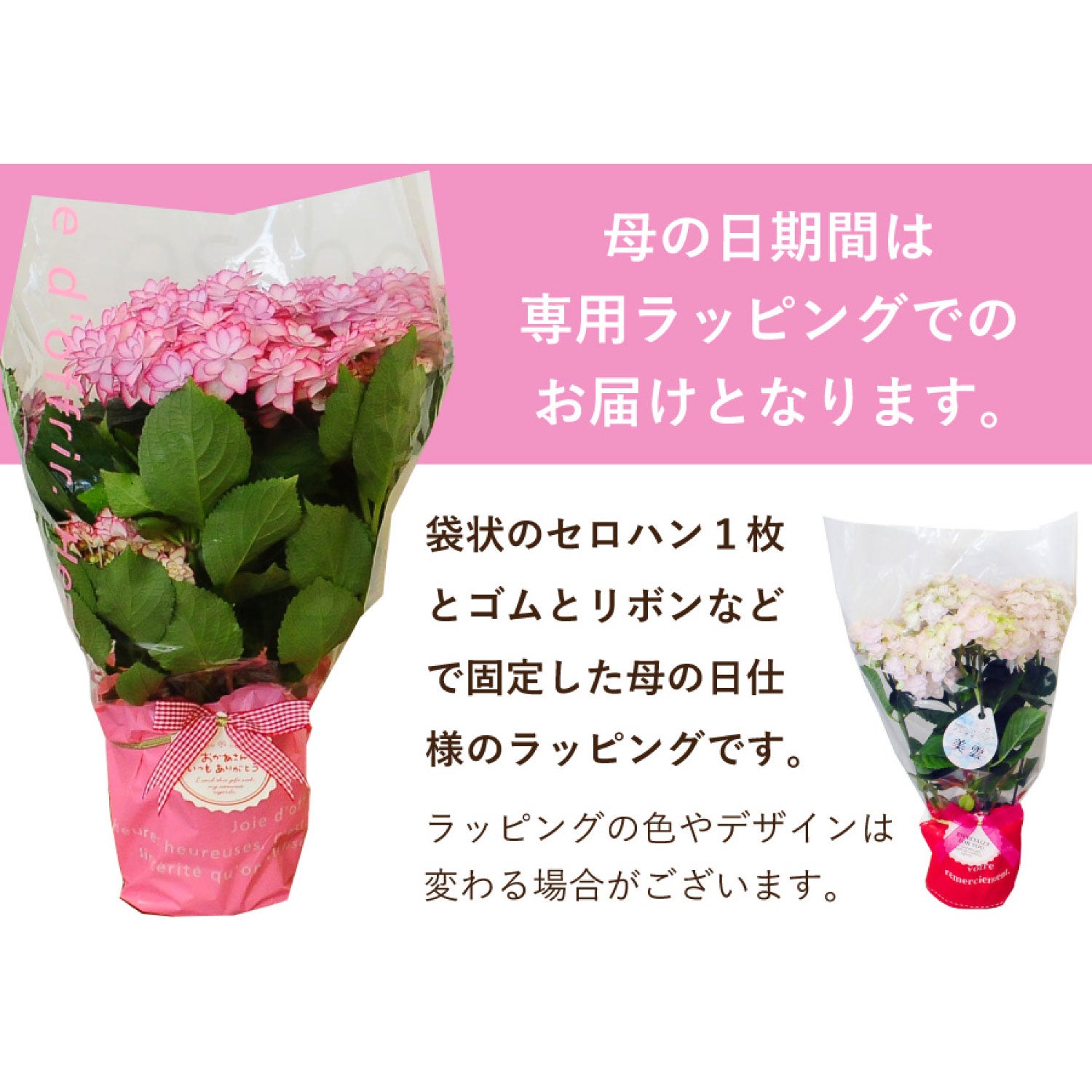銀河 専用ラッピング
