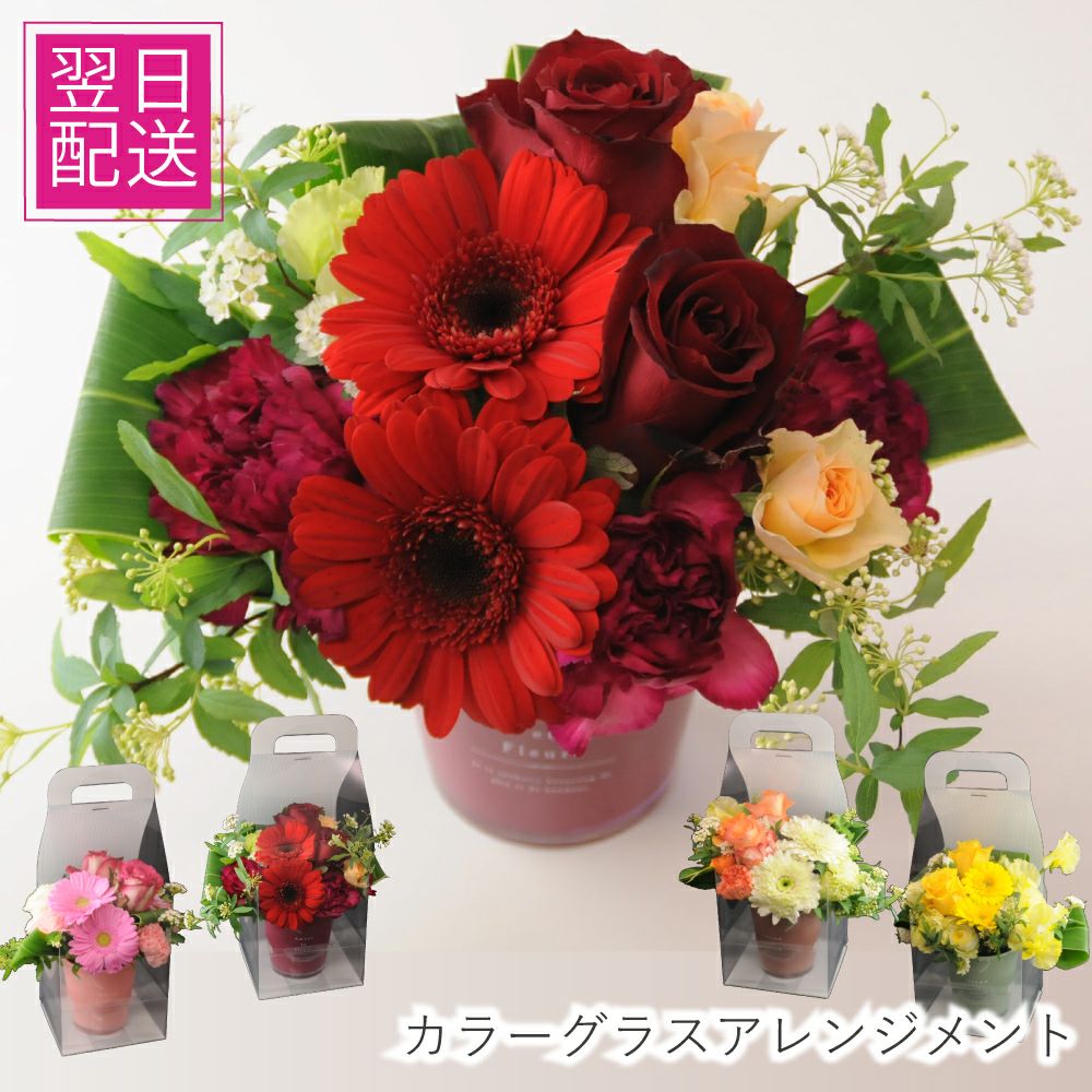 �J���[�O���X�̃A�����W�����g