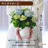 星あつめピンク