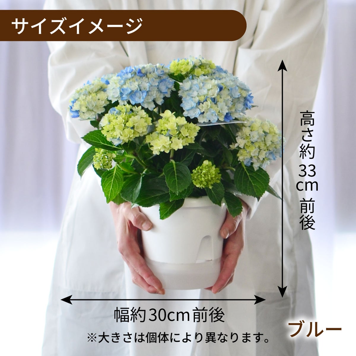 星あつめピンク