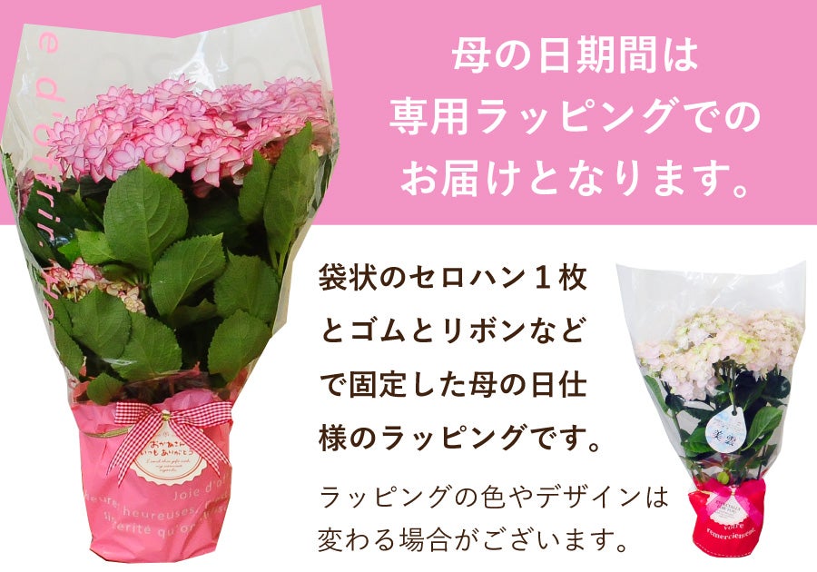 お届け期間