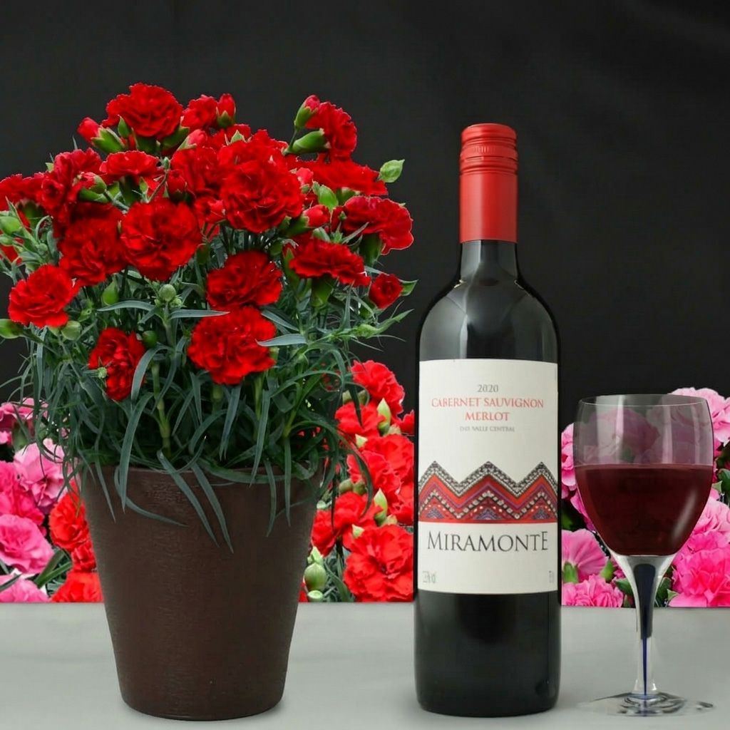 カーネーションとワインのセット
