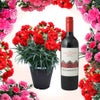 カーネーション5号鉢と赤ワインのセット