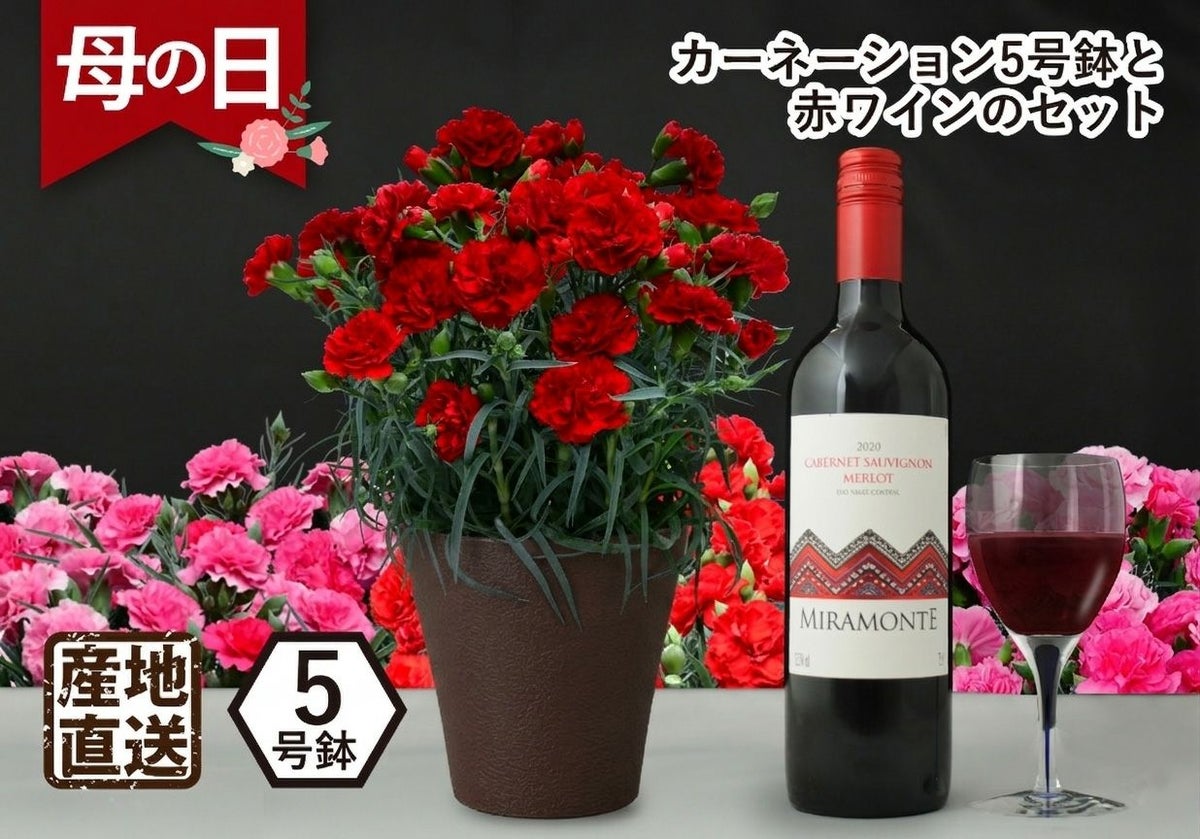 カーネーション5号鉢と赤ワインのセット