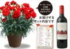 カーネーションとワインのセット
