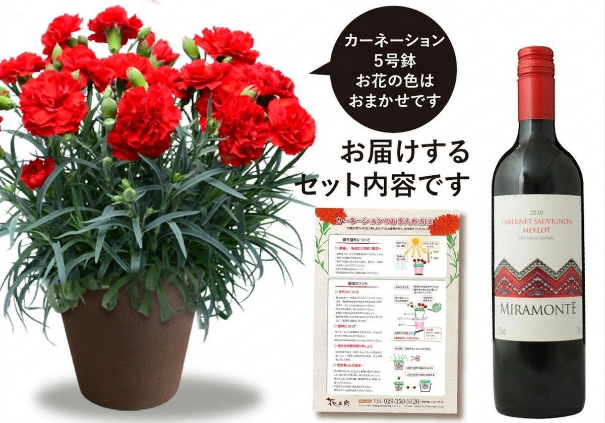 カーネーションとワインのセット