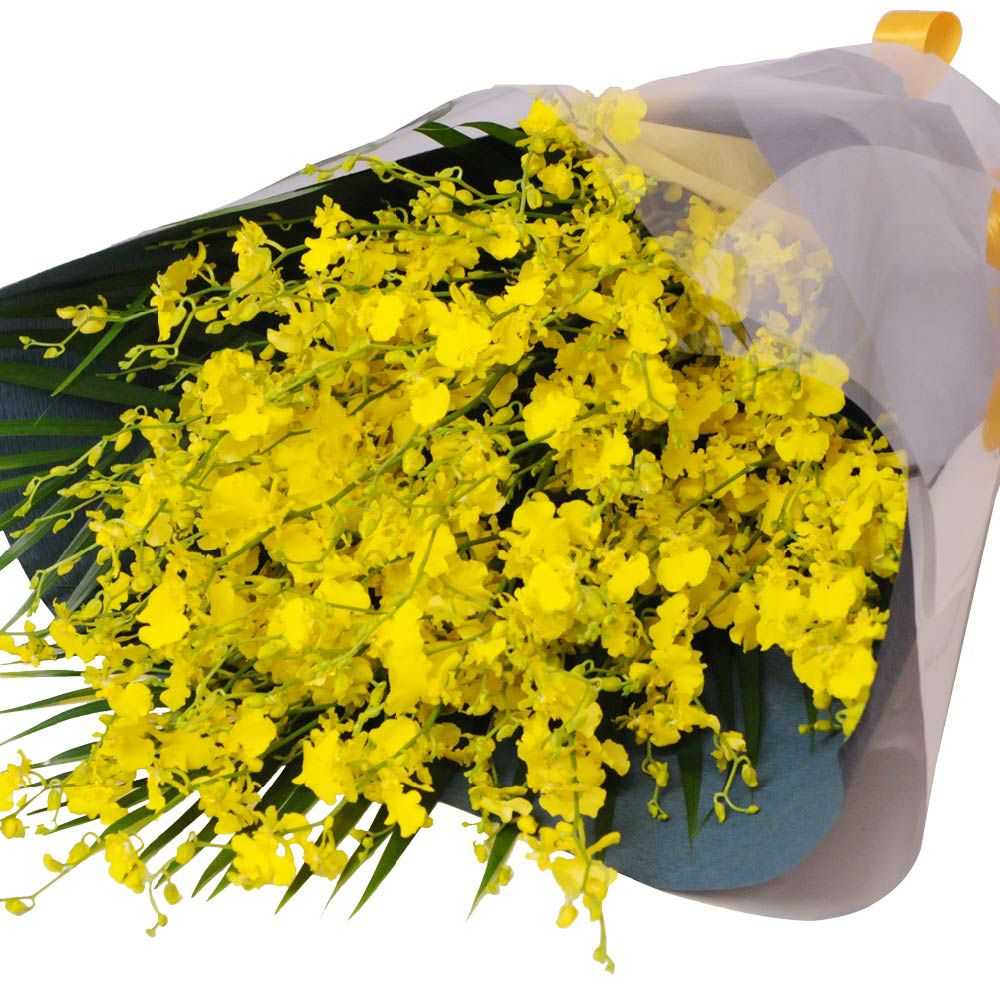 黄色いバラ20本の花束 | 花工房エーデルワイス