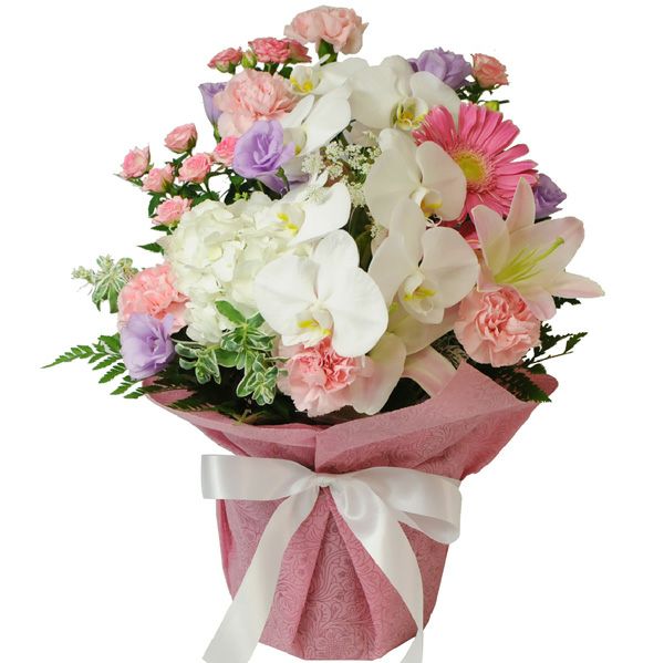 000000000479-01.jpg?size=m&w=