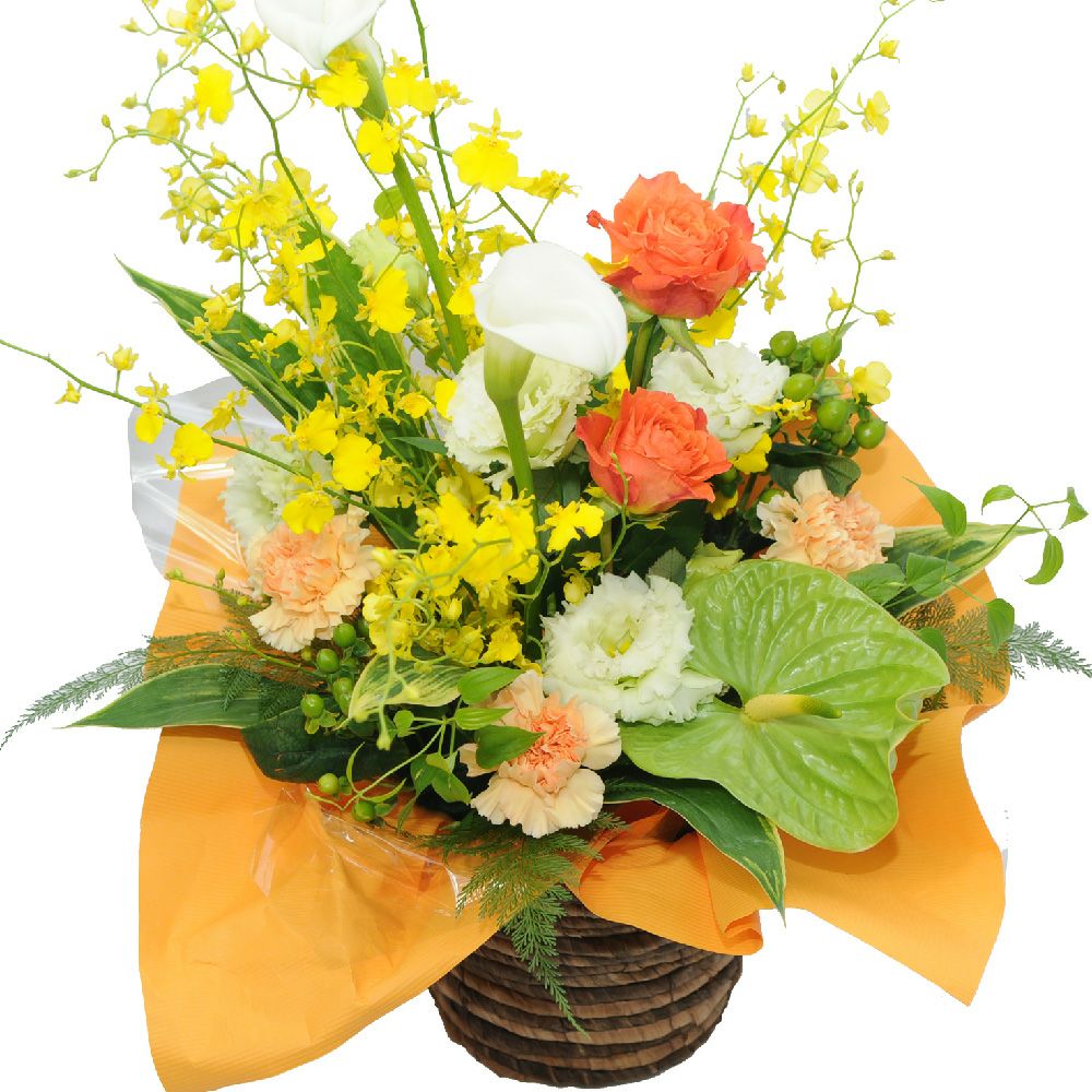 �I���V�W���[���i�I���V�W���[���j�̃A�����W�����g