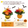 ハロウィンパンプキンポットのアレンジメントとチリワインセット