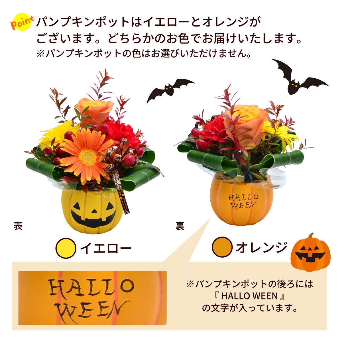 ハロウィンパンプキンポットのアレンジメントとチリワインセット
