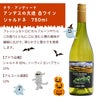 ハロウィンパンプキンポットのアレンジメントとチリワインセット