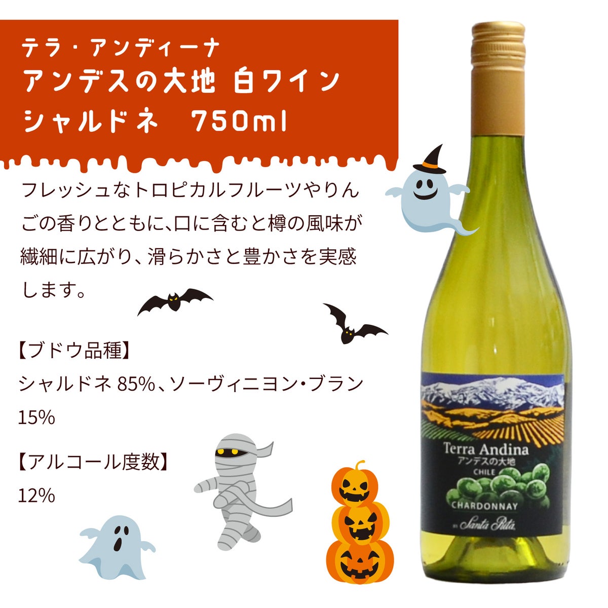 ハロウィンパンプキンポットのアレンジメントとチリワインセット