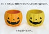 ハロウィンパンプキンポッド