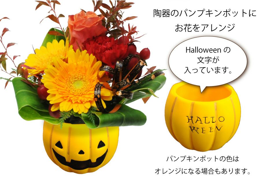 パンプキンポットのアレンジメント