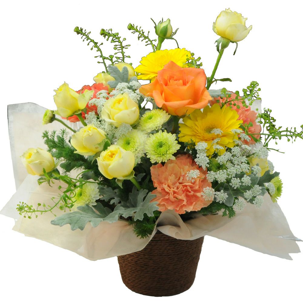 お供え花　☆KS☆様　確認ページ ペット お悔やみ花 お供え花 虹のはし Mサイズ | 花工房エーデルワイス