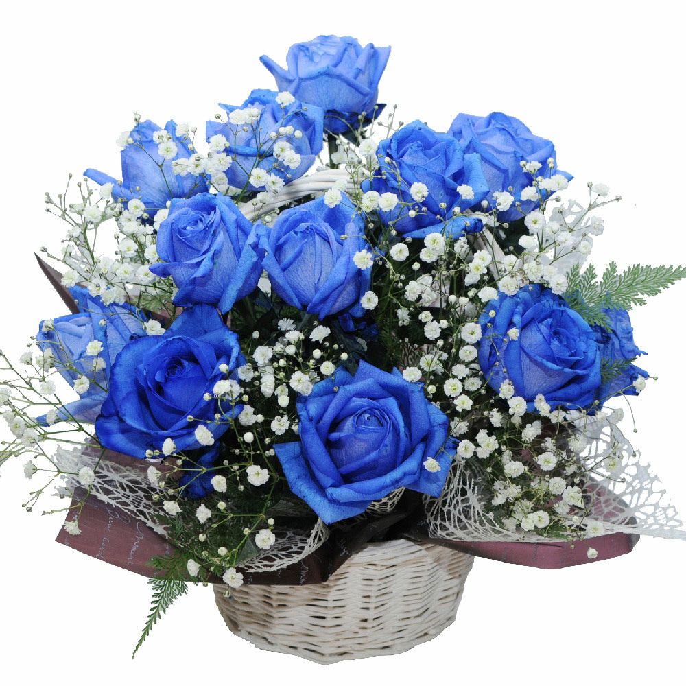 ���o��12�{�̃A�����W�����g