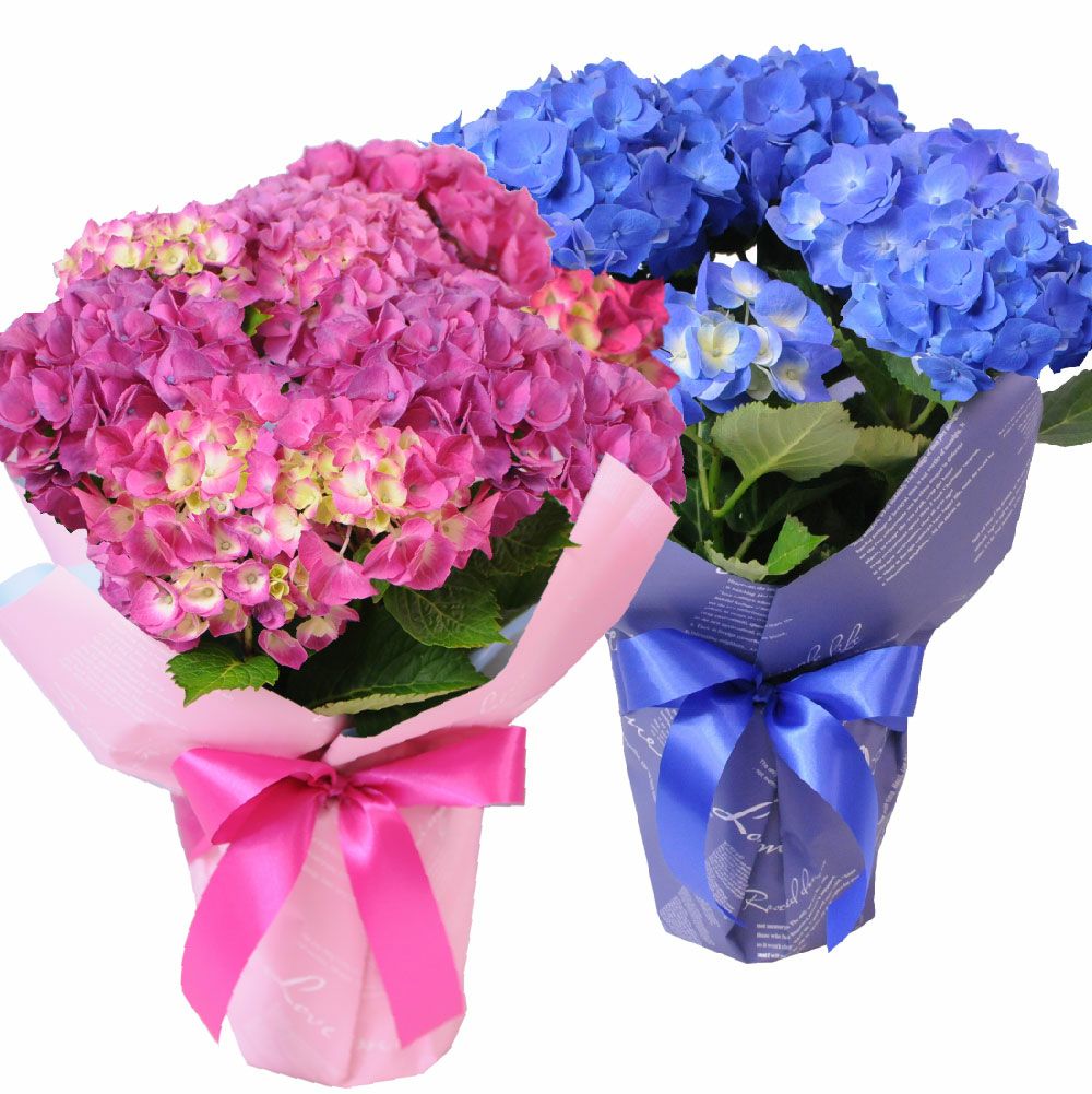 ���܂���