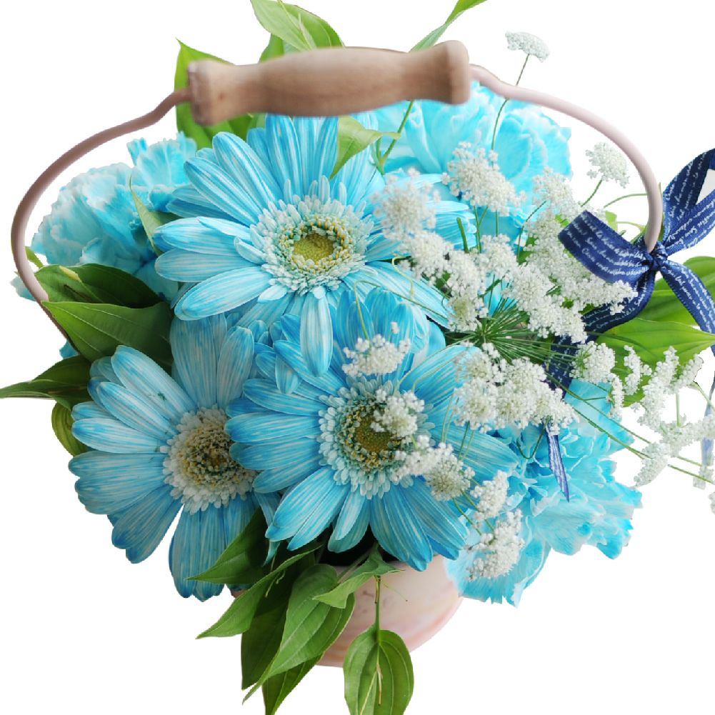 �t�����[�A�����W�����g ��F���u���^�[
