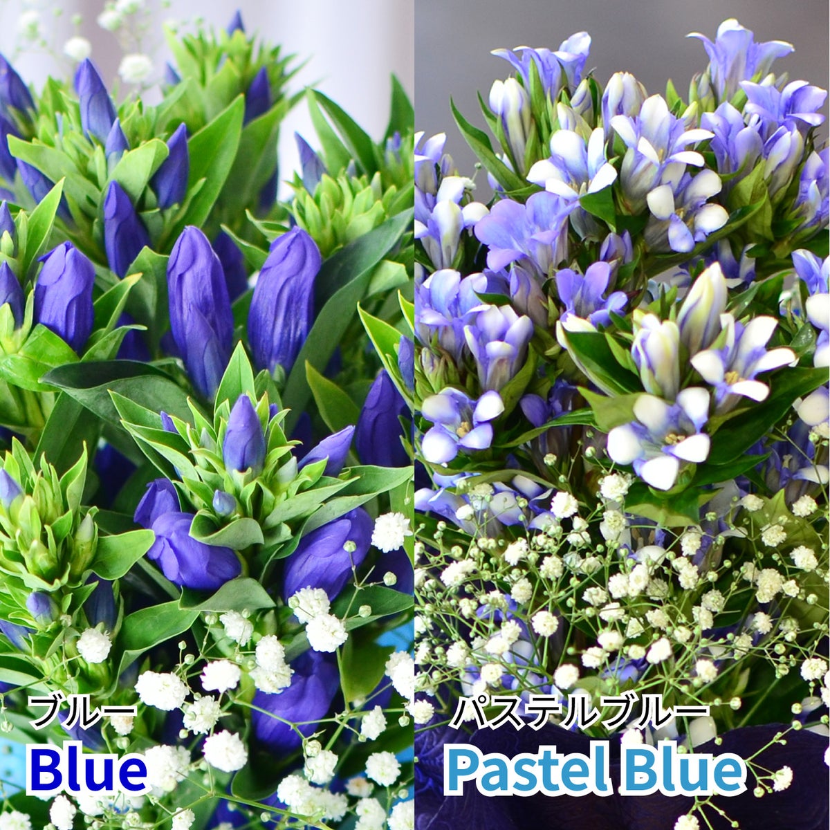 花 記念日 各種お祝いに 花ギフト 花のプレゼント そのまま飾れる不思議なブーケ リンドウのブーケ