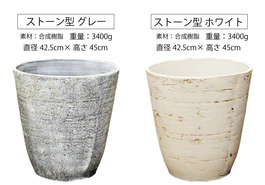 観葉植物 開店祝い 移転祝い パキラ 10号 選べる鉢カバー付き