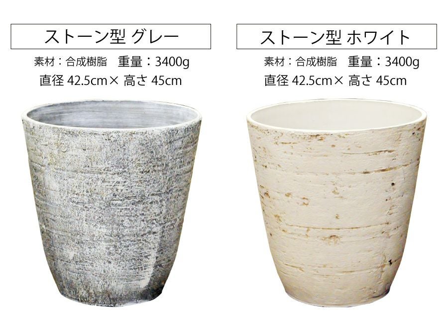 観葉植物 ユッカ 10号鉢 選べる鉢カバー付き