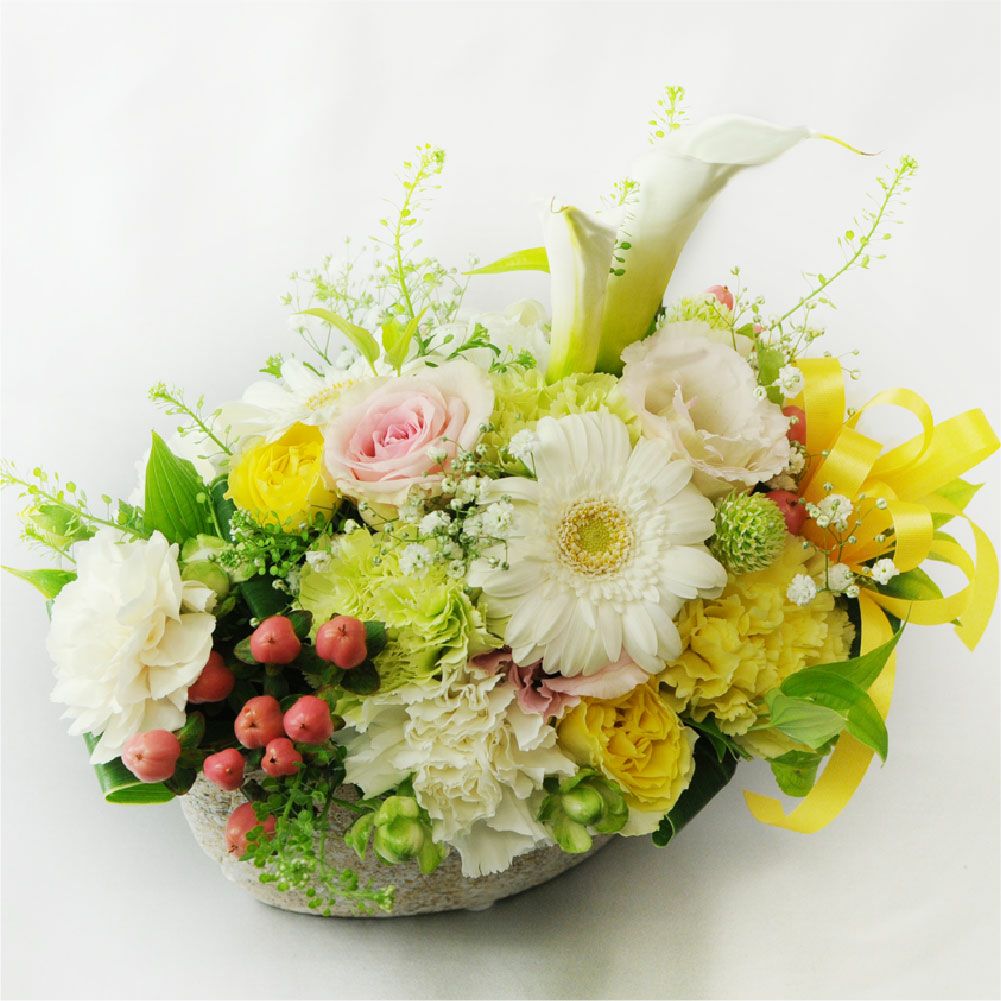 ホワイトベルLサイズ