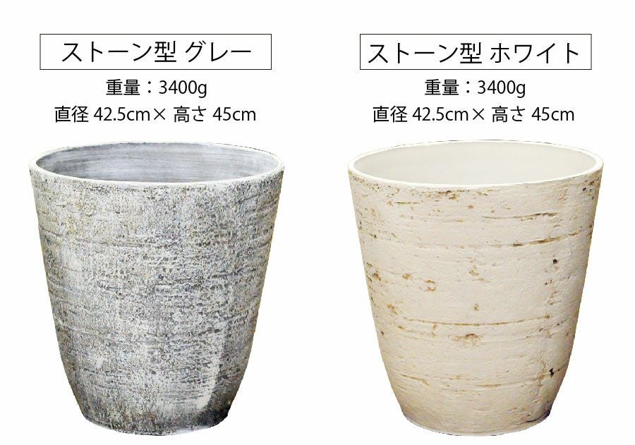 観葉植物 ユッカ 10号鉢 選べる鉢カバー付き