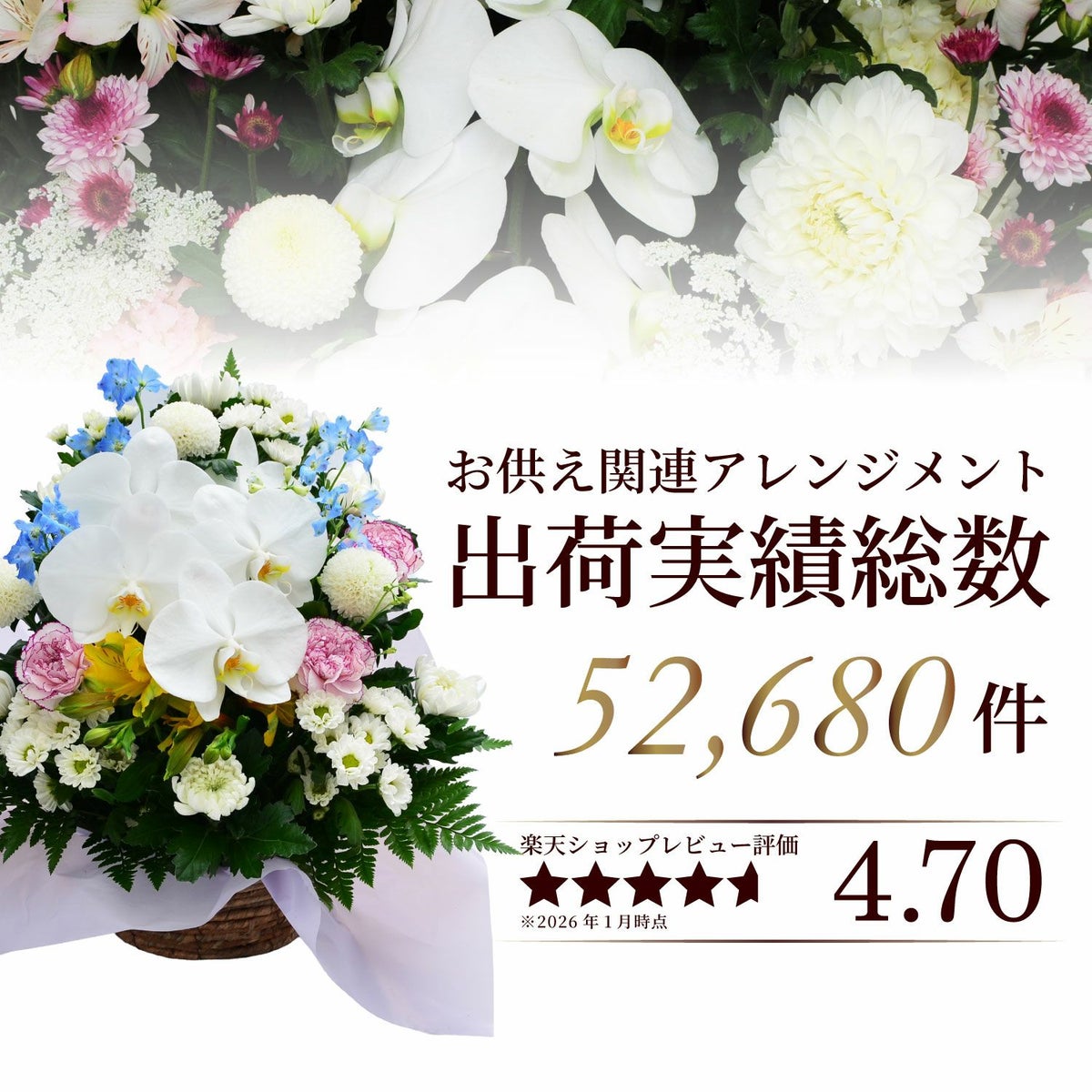 蘭のお供え花アレンジメントMSサイズ