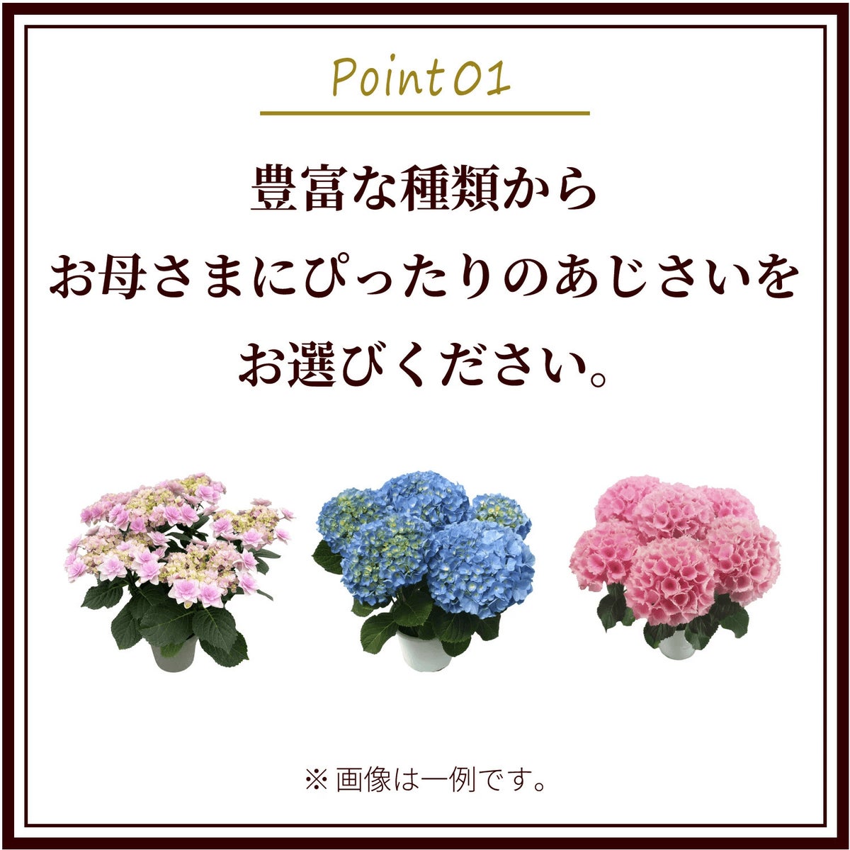 スペシャルラッピング