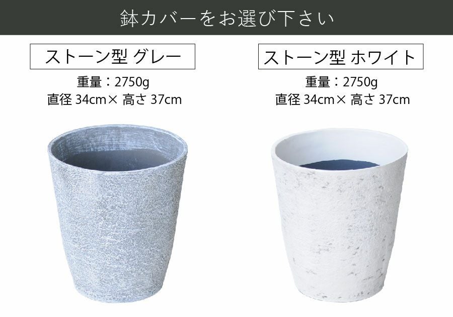 観葉植物 フィカス・ベンガレンシス８号鉢 鉢カバー付き