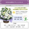 百合のお供えアレンジメント３Lサイズ