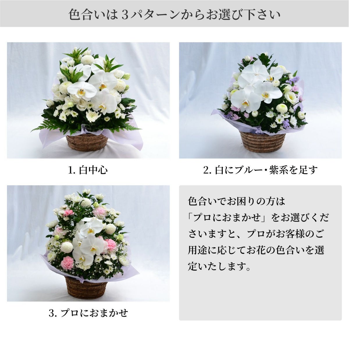 蘭のお供えアレンジメント２Lサイズ