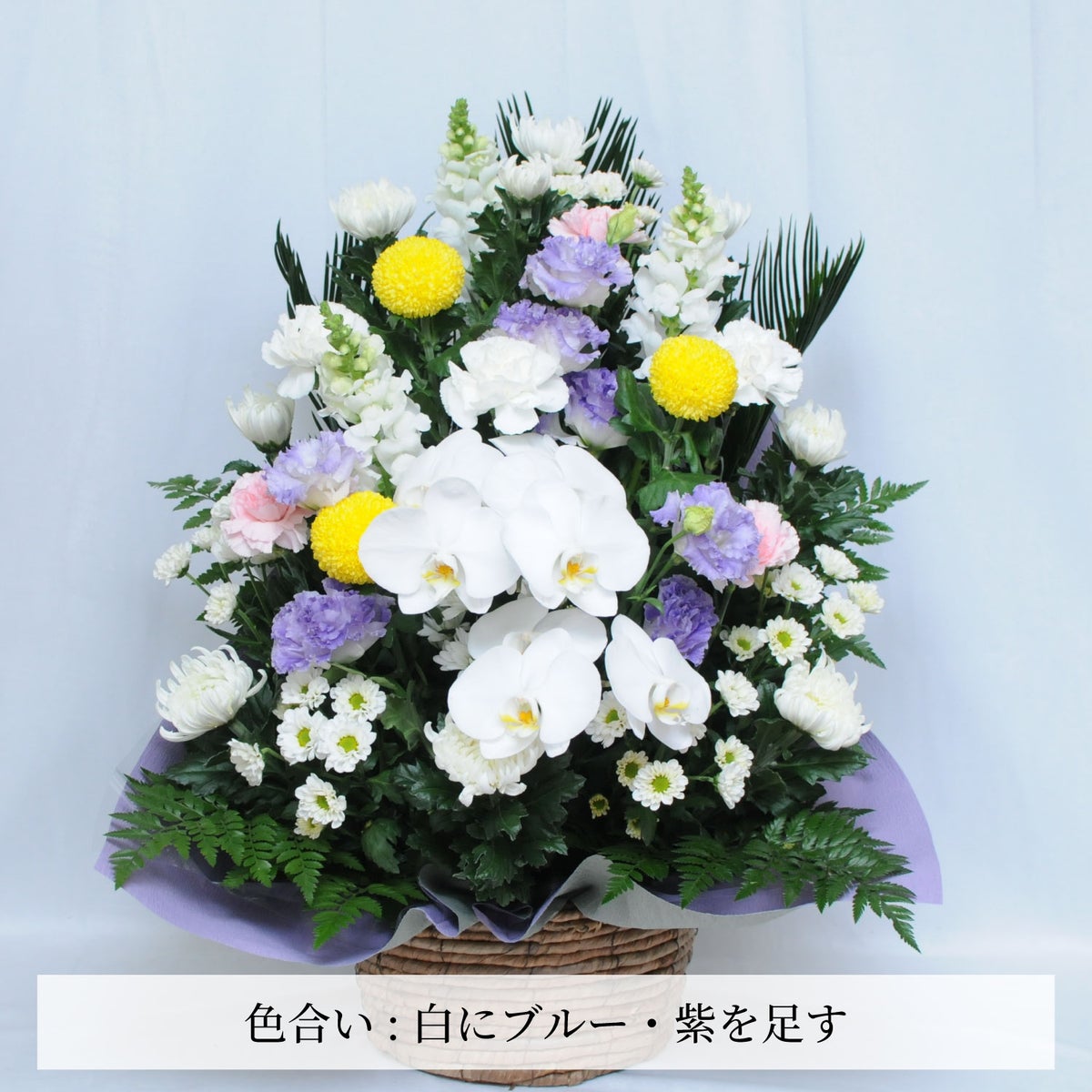 蘭のお供えアレンジメント２Lサイズ