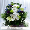 蘭のお供えアレンジメント３Lサイズ